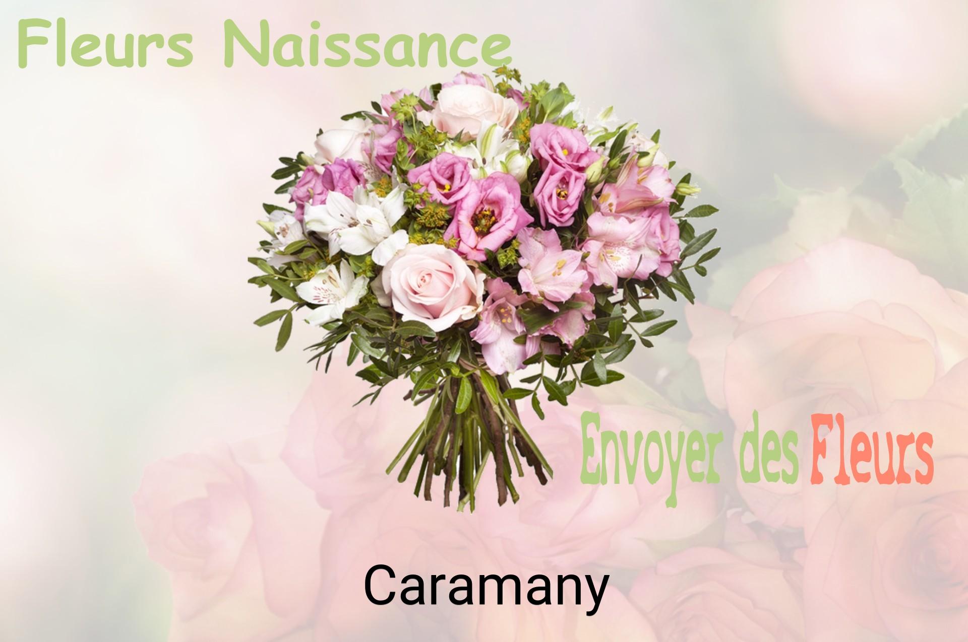 Bouquet de fleurs de naissance livré à Caramany