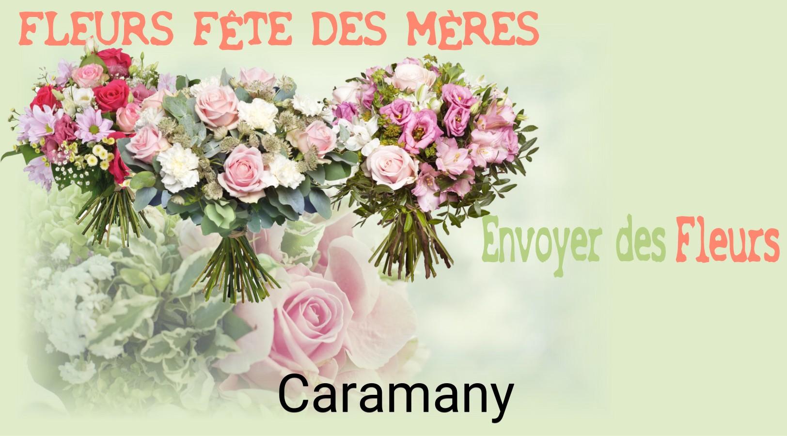 Bouquet de Fête des Mères livré à Caramany